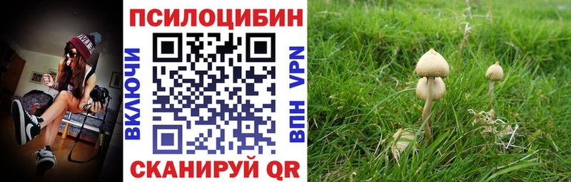 дарнет шоп  Унеча  нарко площадка состав  Псилоцибиновые грибы GOLDEN TEACHER 